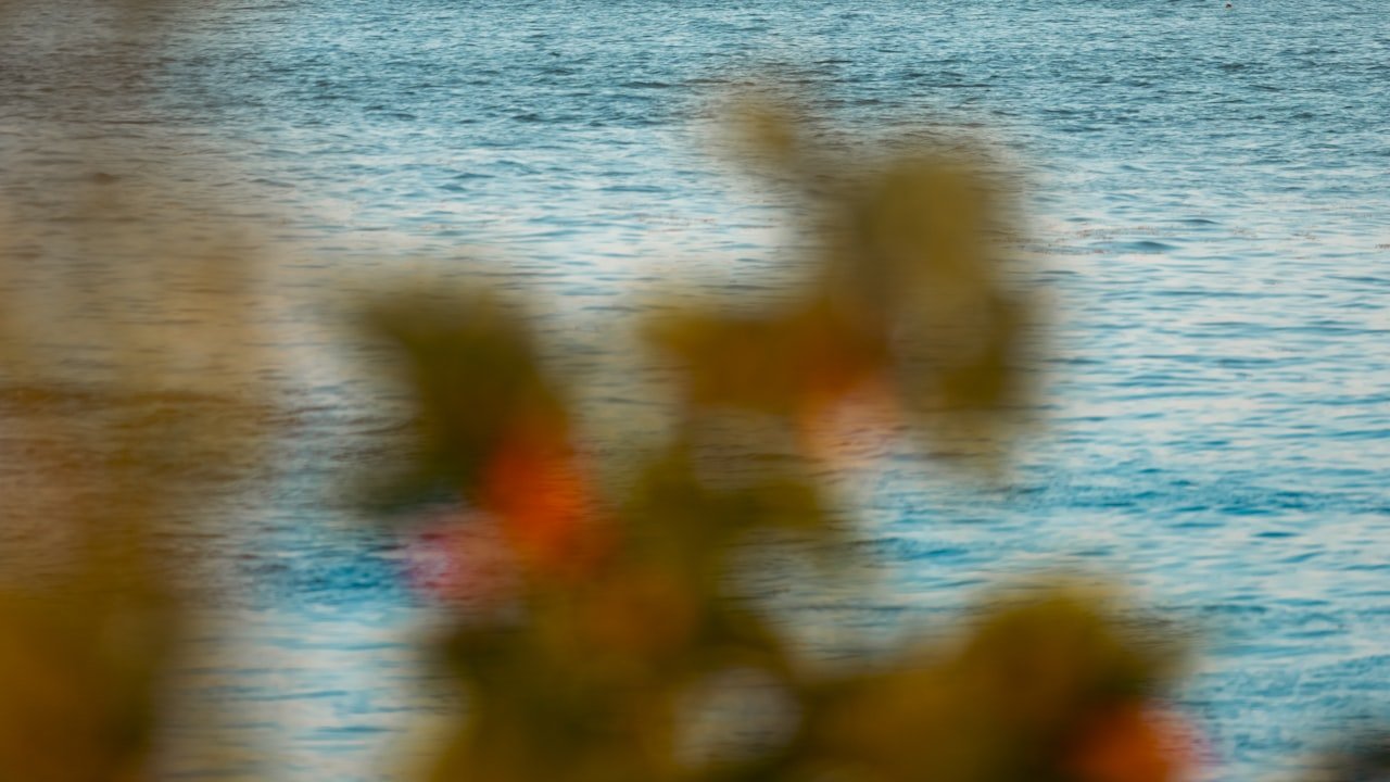 New Yubico safety keys allow you to use fingerprints as an alternative of passwords