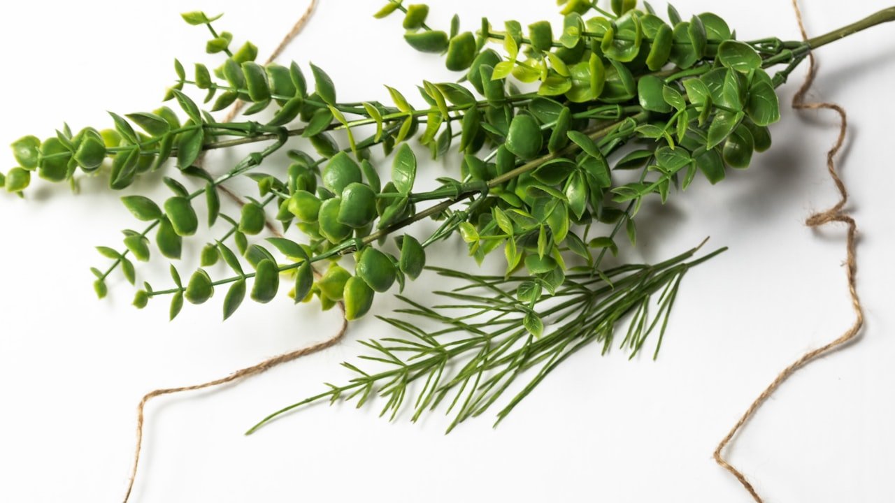 The Most Promising Camera Module Technology in 2022