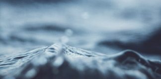 Everything You Should Know About Hot Water Pressure Washer?