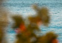 New Yubico safety keys allow you to use fingerprints as an alternative of passwords