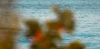 New Yubico safety keys allow you to use fingerprints as an alternative of passwords