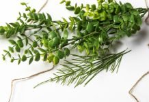 The Most Promising Camera Module Technology in 2022