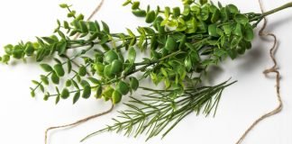 The Most Promising Camera Module Technology in 2022