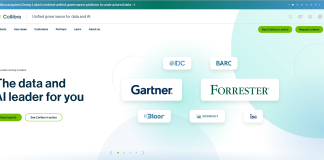 13 Data Governance Tools Worth Your Budget