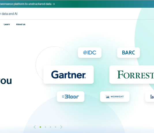 13 Data Governance Tools Worth Your Budget